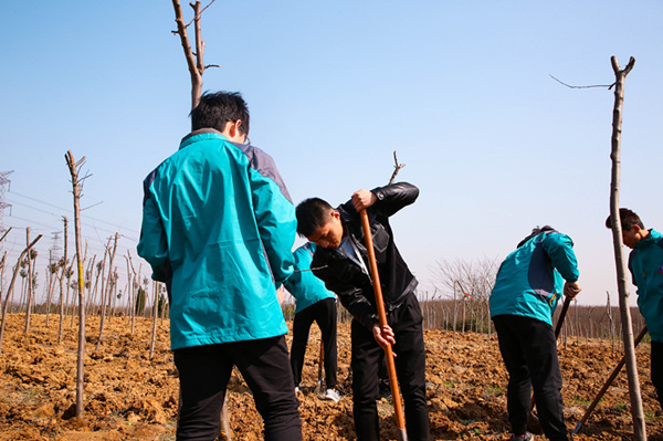 “攜手植樹，共創(chuàng)藍(lán)天”丨南京新華師生共筑新華育才林