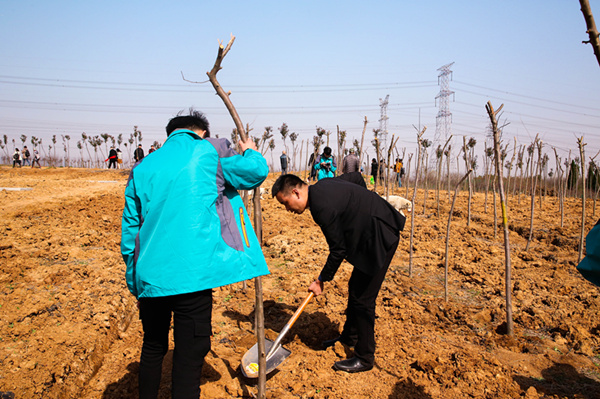 “攜手植樹，共創(chuàng)藍(lán)天”丨南京新華師生共筑新華育才林