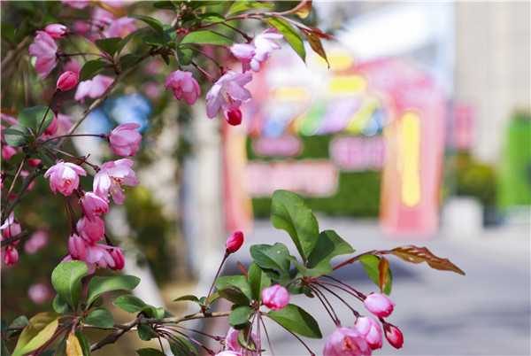 春暖花開，等你歸來——邀你云賞南新春景，以慰思念